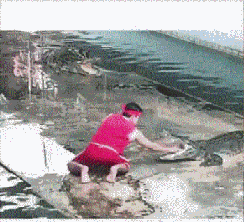 吓老子一条动物gif搞笑图片