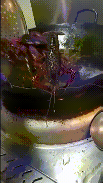 我行，我能坚持动物gif搞笑图片