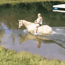 白龙马：我师父是唐生，可是你能骑的动物gif搞笑图片