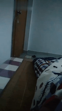 这年头没点技术，早就被十二生肖淘汰了动物gif搞笑图片