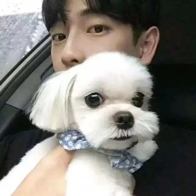 男生帅哥抱宠物猫动物微信头像大全动物gif搞笑图片