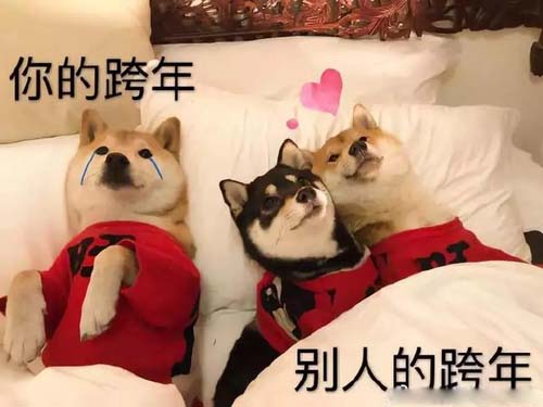 单身狗动物秀恩爱跨年带文字表情包图动物gif搞笑图片