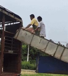 猪动物搞笑内涵动态表情包图动物gif搞笑图片