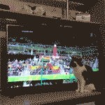 猫看电视动物搞笑动态图动物gif搞笑图片