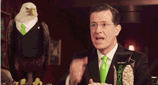 鹦鹉击掌动物默契搞笑动态图动物gif搞笑图片