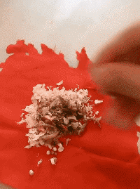 仓鼠背包袱出门可爱搞笑动物萌宠动图动物gif搞笑图片