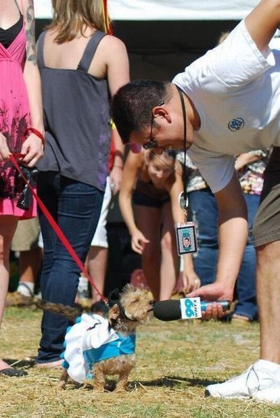 记者采访狗可爱搞笑动物图片动物gif搞笑图片