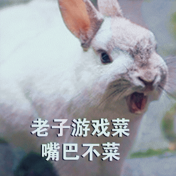 兔子玩游戏骂人搞笑动物带字表情包动物gif搞笑图片