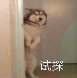动物暗中观察表情包带字动物gif搞笑图片