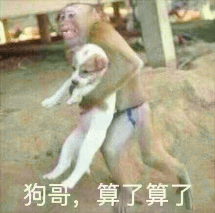 搞笑的猴子带字表情包动物gif搞笑图片