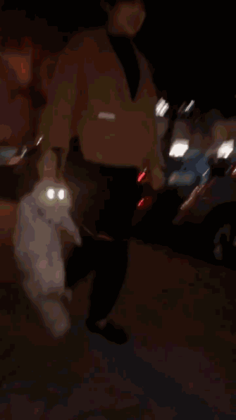 猫眼睛发光的搞笑动图动物gif搞笑图片