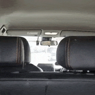 狗狗吃东西的动图动物gif搞笑图片