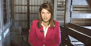 骆驼的搞笑动图动物gif搞笑图片