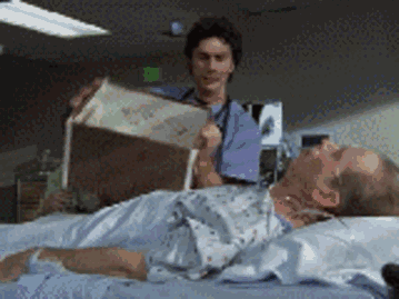 一大群猫的动图动物gif搞笑图片