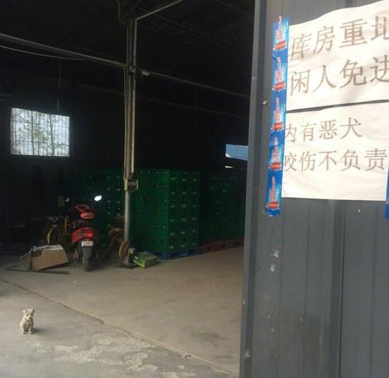 搞笑的恶犬图片动物gif搞笑图片