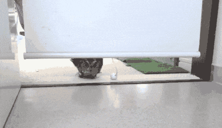 猫头鹰发呆的动态图动物gif搞笑图片