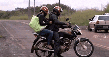 羊撞摩托车的动态图动物gif搞笑图片