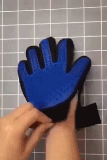 撸猫脱毛手套的动态图动物gif搞笑图片