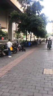 狗狗玩气球的动图动物gif搞笑图片