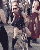 搞笑的狗狗懵逼动图动物gif搞笑图片