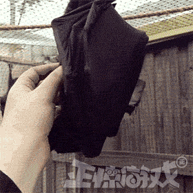 搞笑可爱的蝙蝠动图动物gif搞笑图片