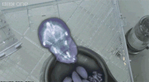 仓鼠藏食物的动态图动物gif搞笑图片