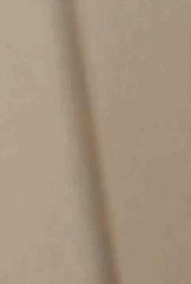 可爱的猫咪撒娇卖萌的动图动物gif搞笑图片