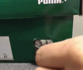 可爱搞笑的动物仓鼠GIF动图动物gif搞笑图片