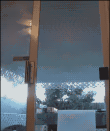 猫咪萌宠爬纱窗的搞笑GIF动图动物gif搞笑图片