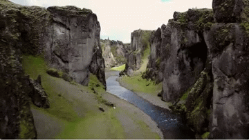 狗狗萨摩耶爬围栏越狱的搞笑动图动物gif搞笑图片