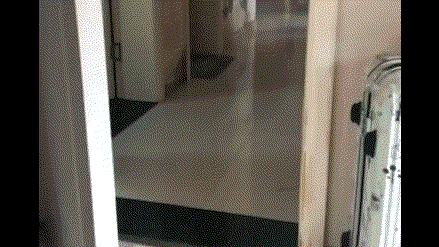 萌宠哈士奇搞笑的魔性表情GIF动态图动物gif搞笑图片