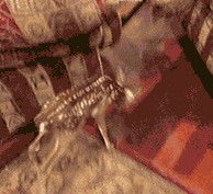 小梅花鹿像喝醉酒的搞笑萌宠GIF动态图动物gif搞笑图片