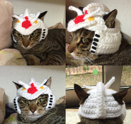 猫咪可爱的针织毛线帽子图动物gif搞笑图片