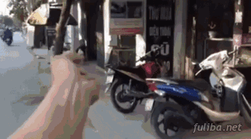 宠物鸡的搞笑动图动物gif搞笑图片