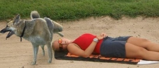 这是一只最牛的狗子动物gif搞笑图片