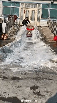 第一个狗子挺稳的动物gif搞笑图片