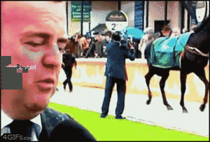 马儿：谁叫你拍我了动物gif搞笑图片