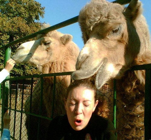 小妞来亲一个动物gif搞笑图片