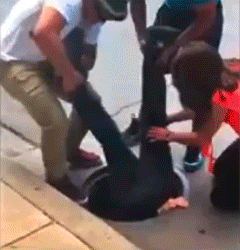 千辛万苦救一只小鸭子动物gif搞笑图片