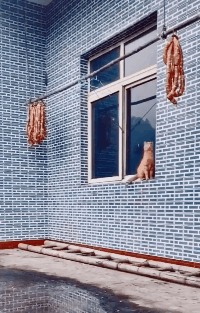 这年头吃点肉还真是不容易动物gif搞笑图片