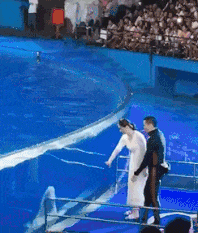 我训练的海豚就喜欢欺负妹子动物gif搞笑图片