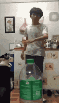 可怜的喵星人躺着中枪动物gif搞笑图片