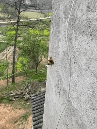 安全智能监控，附带自动报警功能动物gif搞笑图片