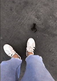 虾哥碰瓷呀！信不信把你扔锅里去动物gif搞笑图片