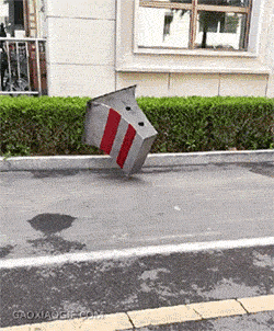 这螳螂拳算是练到满级状态了动物gif搞笑图片