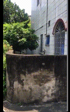 隔壁家的狗子对外面的世界满是期待呀动物gif搞笑图片