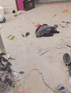 开门那一刻，心态炸裂，小行星爆发动物gif搞笑图片