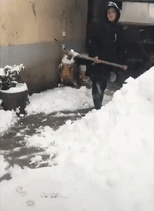 主人在挖雪，后面的狗子亮了动物gif搞笑图片