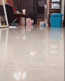 见过动物顺拐没，今天你就看到了动物gif搞笑图片