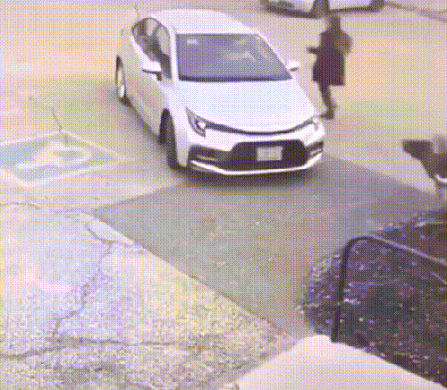 大鹅：别丢下我动物gif搞笑图片